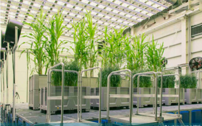 IPK Phenosphere