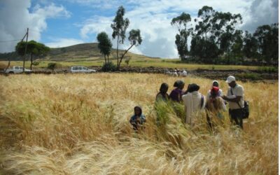 SSSA and ARARI are capitalising on links to Africa 