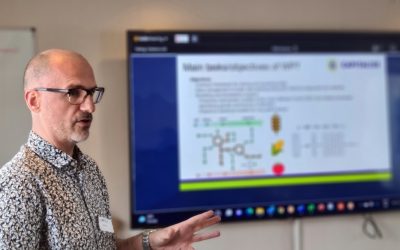 Model-assisted crop improvement as one of CAPITALISE’s drivers  